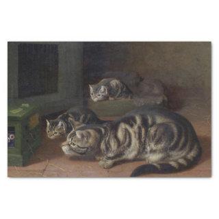 Curiosity by Horatio Henry Couldery Tissue Paper