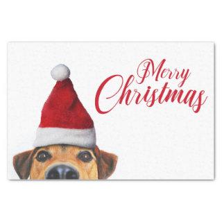Curious Cute Funny Dog with Santa Hat Tissue Paper
