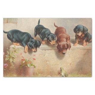 Curious Dachshund Puppies and a Frog by Reichert Tissue Paper
