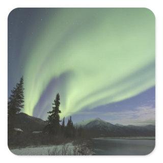 Curtains of green aurora borealis in the sky square sticker