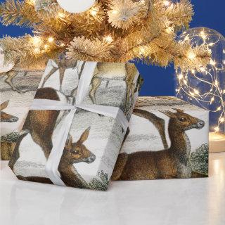 Custom Name Red Deer Hart, Hind, Roebuck Musk Deer