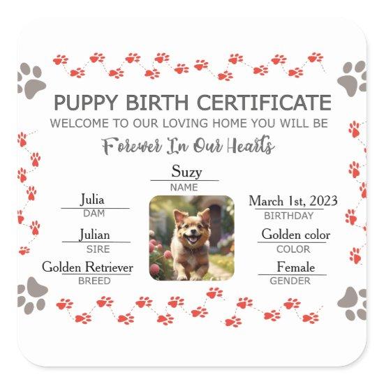 Custom Puppy Birth Certificate Square Sticker