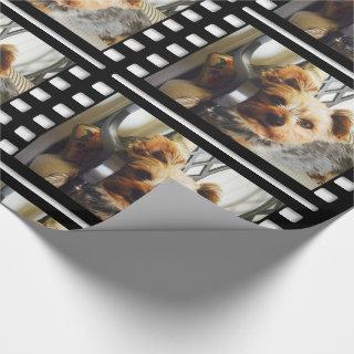 Custom Your Photo or Yorkie on Bench