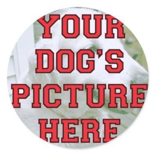 Customized Your Dog's Photo Classic Round Sticker