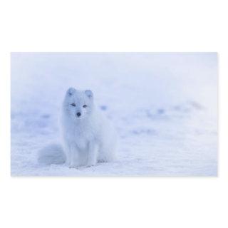 Cute Arctic Fox on Snowy Winter Background Rectangular Sticker