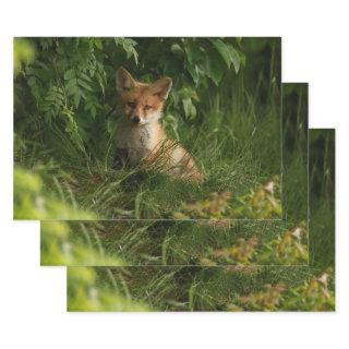 Cute Baby Fox in a Green Forest  Sheets