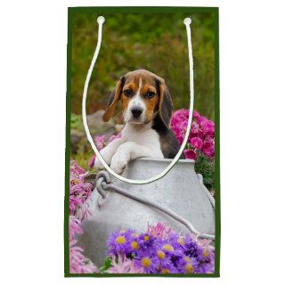 Cute Beagle Dog Puppy in Milk Churn with Flowers - Small Gift Bag