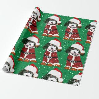 Cute Bernedoodle Dog Santa Paws