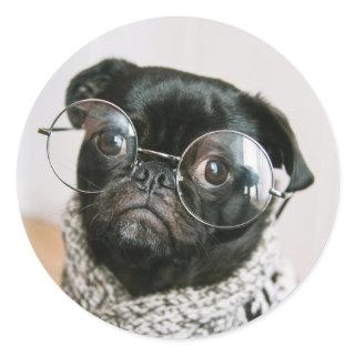 Cute Black Pug with Glasses Dog Photo Classic Round Sticker