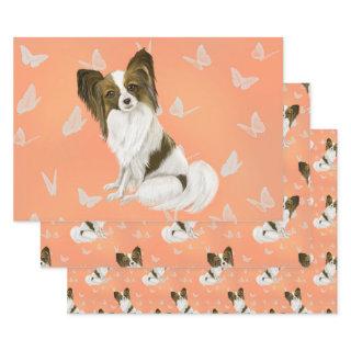 Cute Brown and white papillon dog  Sheets
