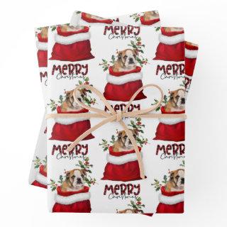 Cute Brown Bulldog Puppy in Holiday Gift Bag  Sheets