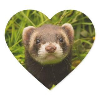 Cute Brown Ferret in the Grass Heart Sticker
