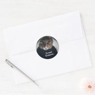 Cute Calico Sleeping Cat Over Shoulder Classic Round Sticker