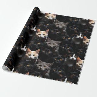 Cute Cat Photography Pattern