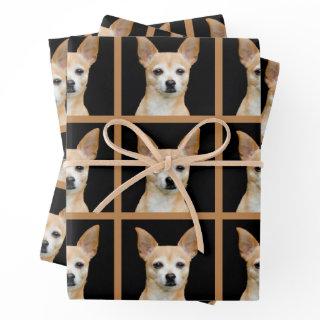 Cute Chihuahua Dog Black Tan Pattern Design  Sheets