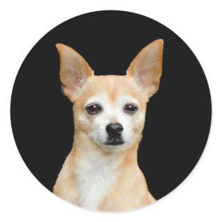 Cute Chihuahua Dog Tan Black Pet Portrait Art Classic Round Sticker