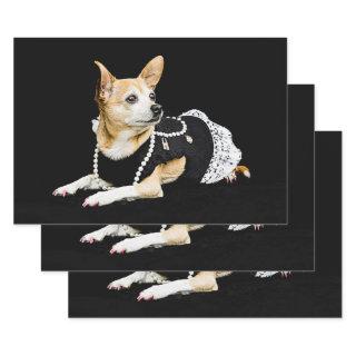 Cute Chihuahua Dog Tan Brown Black Elegant  Sheets