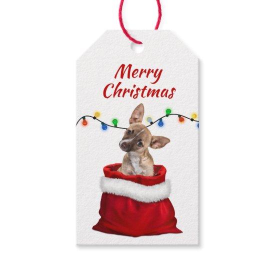 Cute Chihuahua Puppy in Santa Bag Gift Tags
