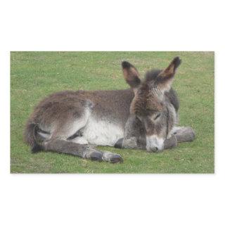 Cute chocolate donkey baby foal sleeping rectangular sticker