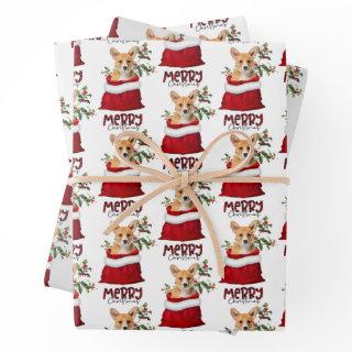 Cute Corgi Dog in Holiday Gift Bag  Sheets