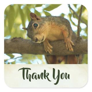 Cute & Curious Squirrel Nature Photo - Thank You Square Sticker