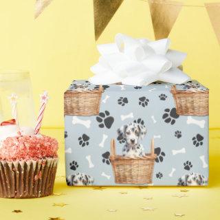 Cute Dalmatian Puppy in Basket Paw Print