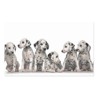 cute dalmation puppies pupy pup pups dog dogs rectangular sticker