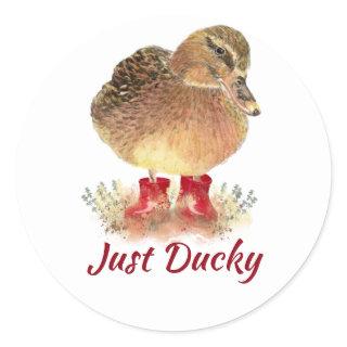 Cute Duck Fun Quote "Just Ducky"  Classic Round Sticker