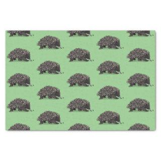 Cute echidna with bee cartoon illustration tissue paper