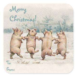 Cute Funny Dancing Pigs "Merry Christmas" Package Square Sticker