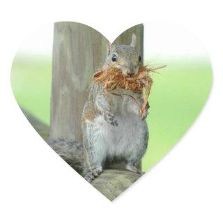 Cute Funny Squirrel Stickers