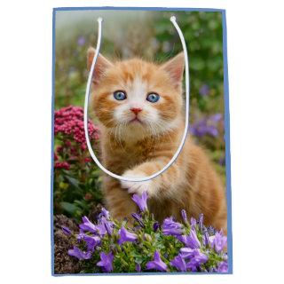 Cute Ginger Cat Kitten in a Garden Photo Portrait Medium Gift Bag