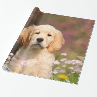 Cute Golden Retriever Dog Puppy Portrait, Gift