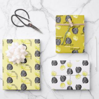 Cute Guinea Pig Yellow Balloons Custom Birthday   Sheets