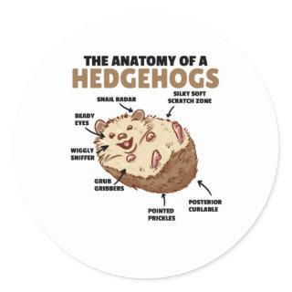 Cute Hedgehog Explanation Anatomy Of A Hedgehogs Classic Round Sticker