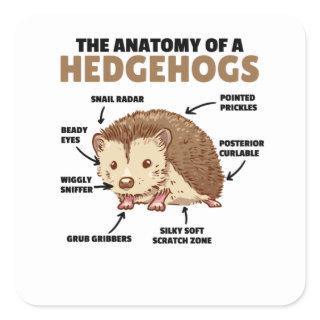 Cute Hedgehog Explanation Anatomy Of A Hedgehogs Square Sticker