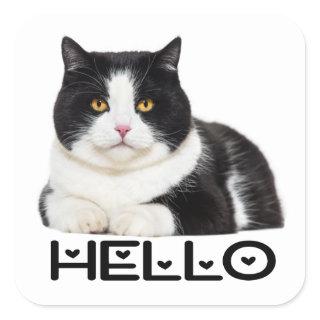 Cute Kitty Black White Kitten Hello Cat Square Sticker