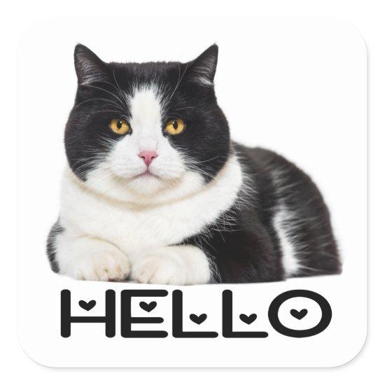 Cute Kitty Black White Kitten Hello Cat Square Sticker