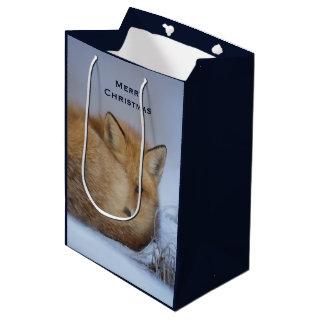 Cute Little Fox Curled Up Winter Photo Medium Gift Bag
