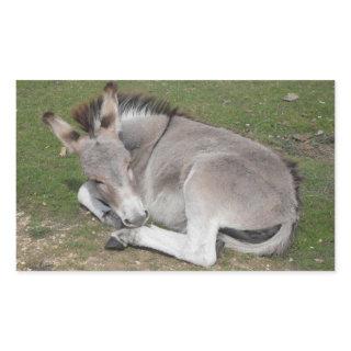 Cute Little Gray Donkey Baby Foal Laying Down Rectangular Sticker