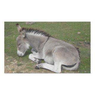 Cute Little Gray Donkey Baby Foal Sleeping Rectangular Sticker