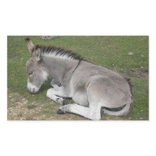 Cute Little Gray Donkey Baby Foal Sleeping Rectangular Sticker