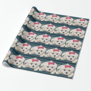 Cute Maltese Dog with Creme Fur and Red Ribbon