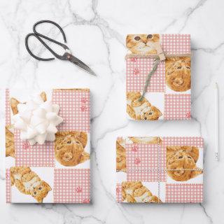 cute orange tabby cat plaid patchwork pink pattern  sheets