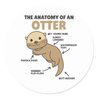 Cute Otter Explanation Anatomy Of An Otter Classic Round Sticker