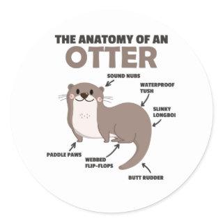 Cute Otter Explanation Anatomy Of An Otter Classic Round Sticker