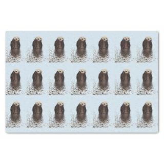Cute Otter Face Nature Photo Tissue Paper