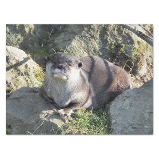 CUTE OTTER TISSUE PAPER
