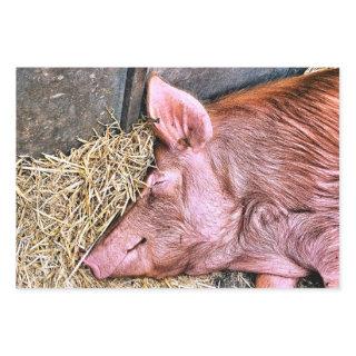 CUTE PIG  SHEETS