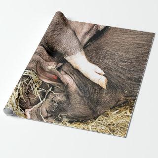 CUTE PIGS